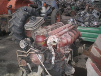 Gabbero | MOTORE 170 NC 