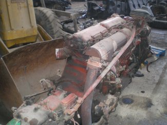 Gabbero | MOTORE 170 NC 