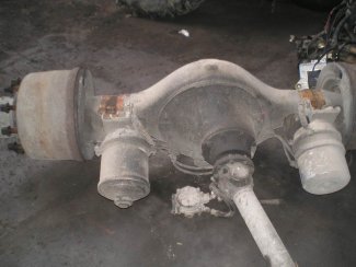 Gabbero | DIFFERENZIALI