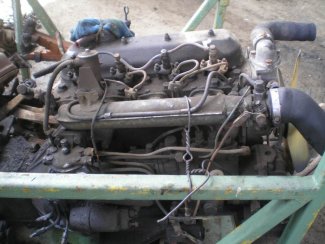 Gabbero | MOTORE FIAT OM 40 