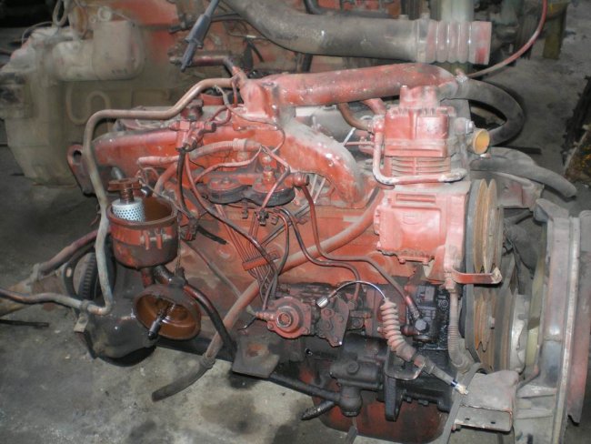 Gabbero | MOTORE IVECO EUROCARGO 100E18