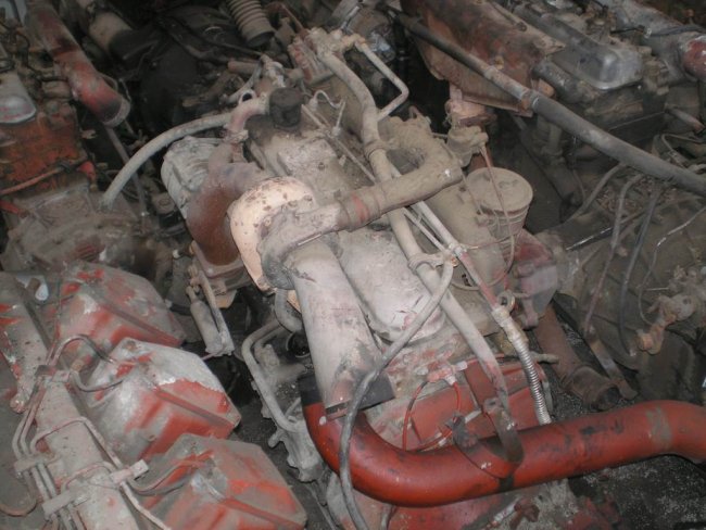 Gabbero | MOTORE FIAT 135-17 145-17