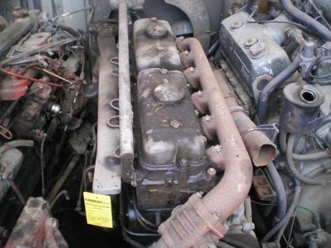Gabbero | MOTORE FIAT 642/639